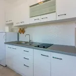 Nemo Apartment